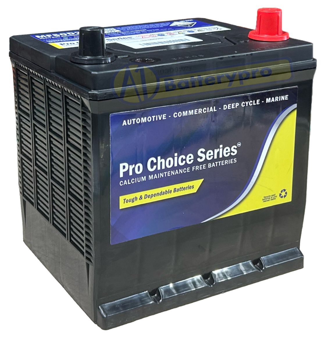 Picture of MF50D20L - 12VOLT 450CCA PRO CHOICE SERIES CALCIUM MAINTENANCE FREE BATTERY
