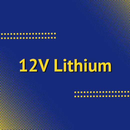 Picture for category 12V Lithium Batteries