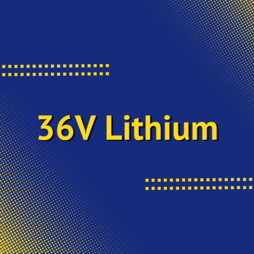 Picture for category 36V Lithium Batteries