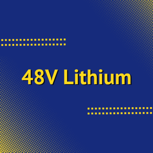 Picture for category 48V Lithium Batteries